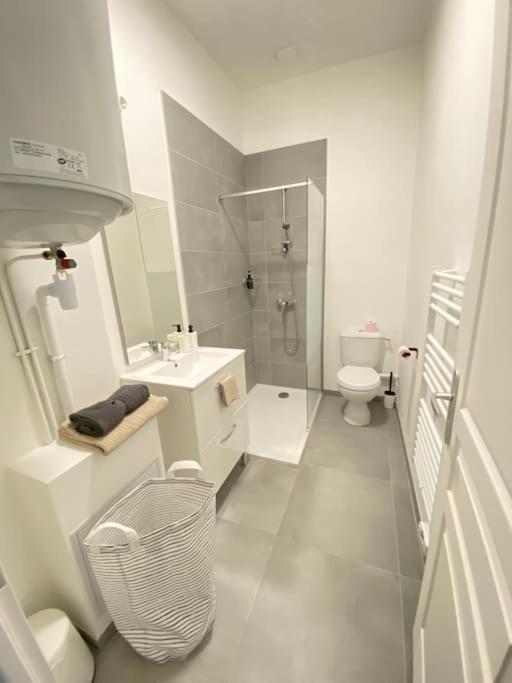 Appartement Coup De Coeur En Centre-Ville Orleans Luaran gambar